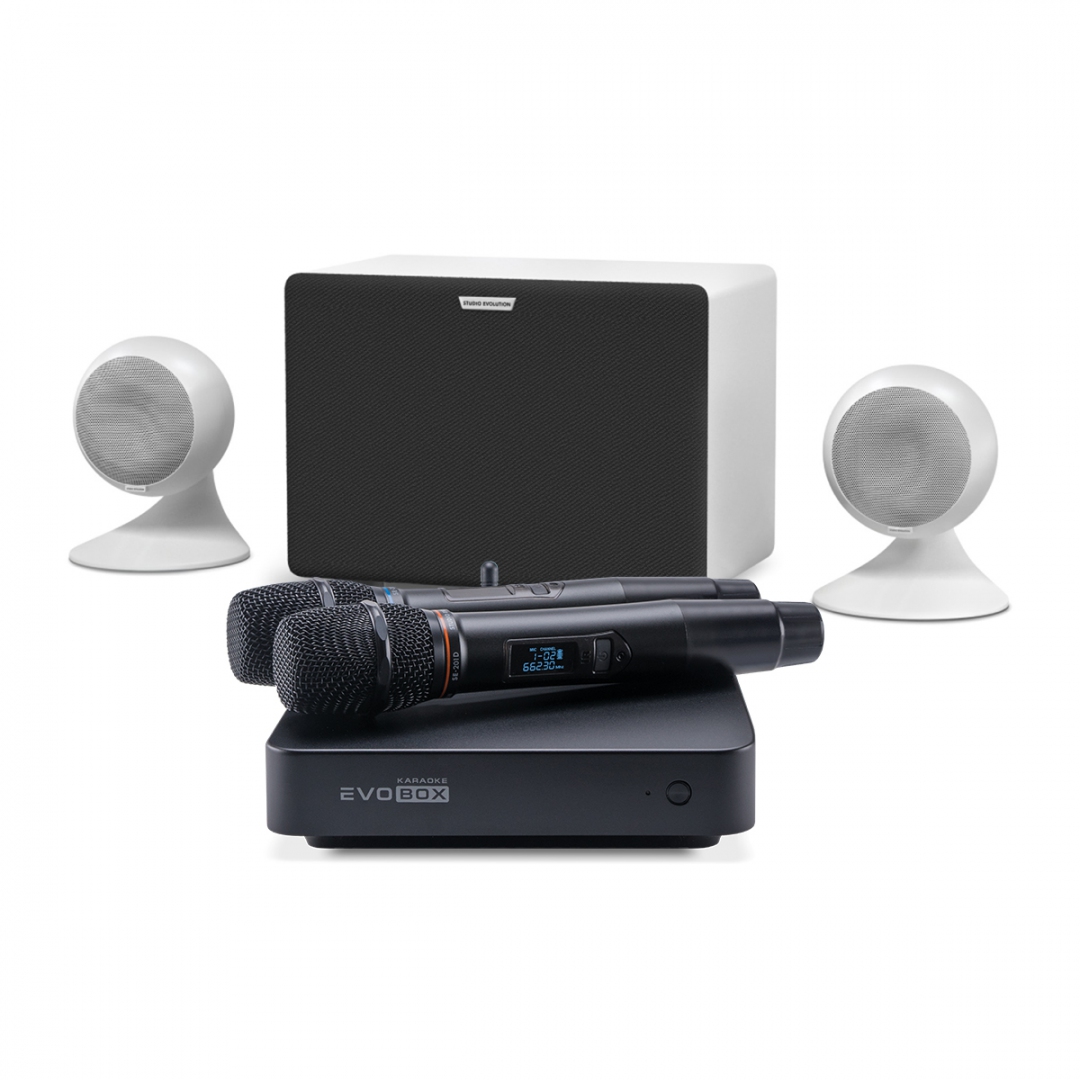 караоке-комплект EVOBOX Classic + EvoSound Sphere 2.1 в Якутске